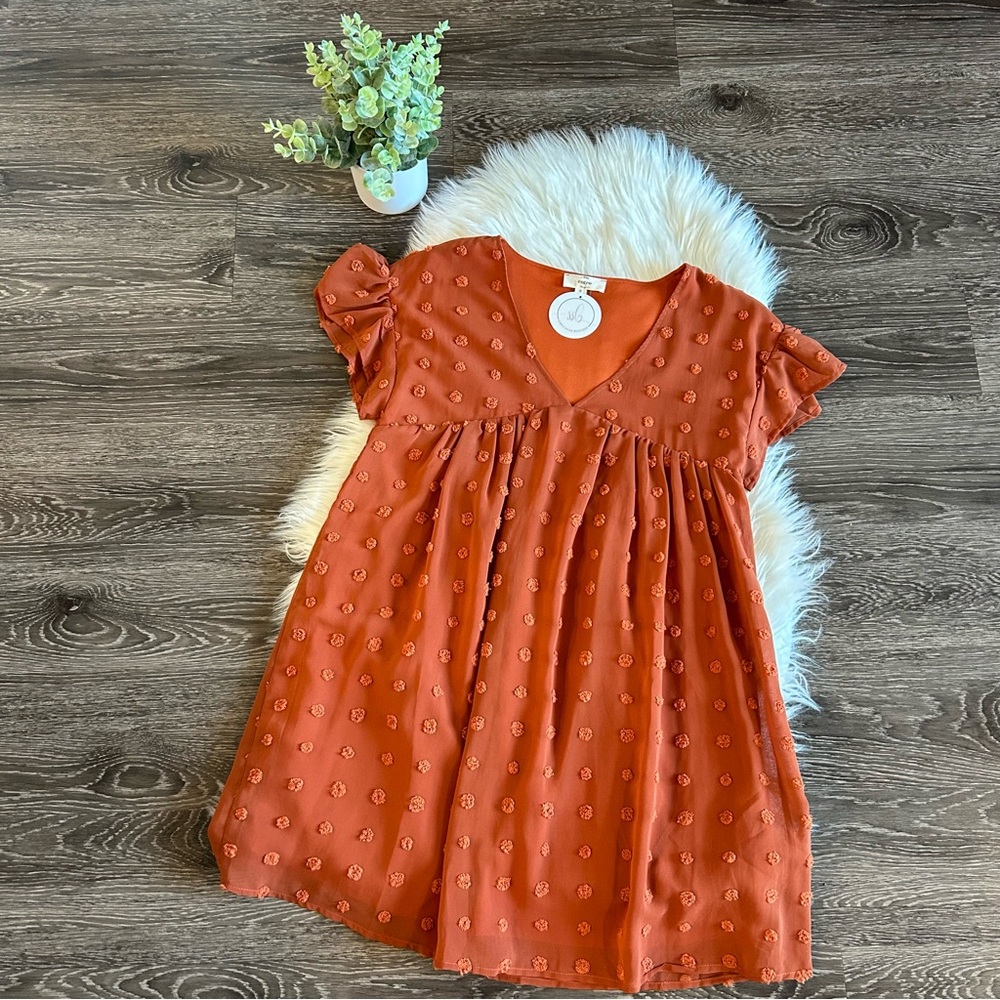 Boutique Rust Color Dress (NWT)